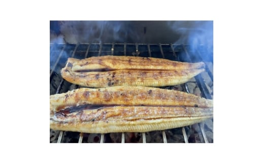 <国産うなぎ>通常サイズ120g-140g 三河一色産 4尾 炭火蒲焼き(タレ付き)【1659372】