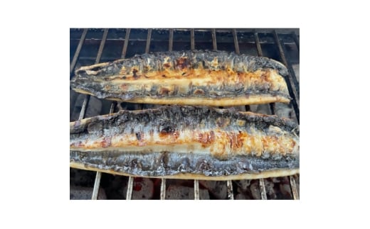 <国産うなぎ>大サイズ140g -170g 三河一色産 4尾セット 炭火蒲焼き(タレ付き)【1659377】