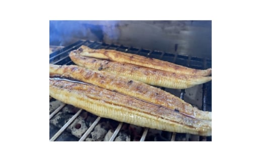 <国産うなぎ>特大サイズ180g-220g 三河一色産 2尾 炭火蒲焼き(タレ付き)【1659388】