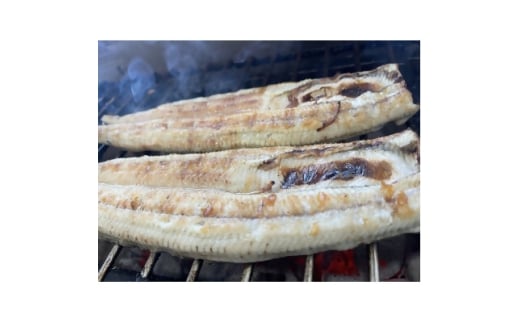 <国産うなぎ>特大サイズ180g-220g 三河一色産 2尾 炭火白焼き【1659392】