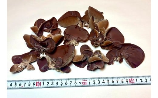 川西町産「生きくらげ」 生きくらげ150グラム