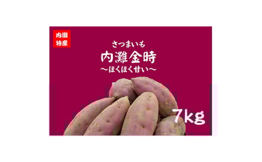 さつまいも(内灘金時)【1599623】