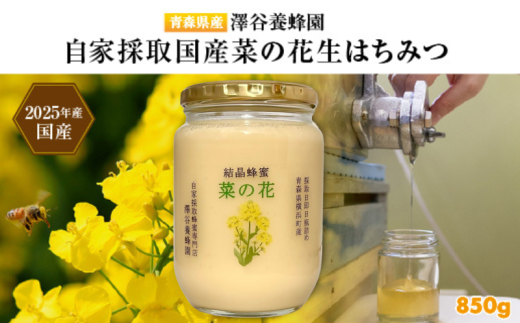【青森県横浜町産】澤谷養蜂園 自家採取 国産菜の花結晶はちみつ850g(2025年産)◆非加熱結晶蜂蜜