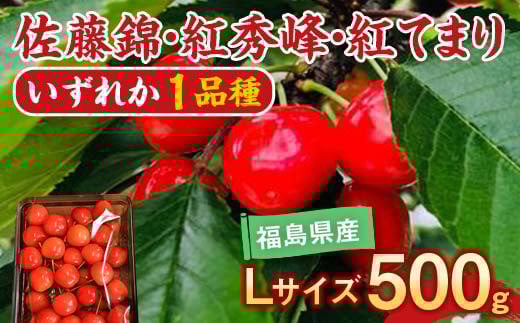 【先行予約】さくらんぼ 佐藤錦 紅秀峰 紅てまり どれか1品種 500g Lサイズ ＜有我果樹園＞ F7X-0227