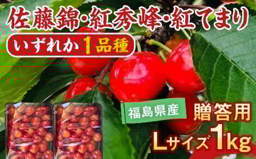 【先行予約】さくらんぼ 佐藤錦 紅秀峰 紅てまりのどれか1品種 1kg Lサイズ 贈答用 ＜有我果樹園＞ F7X-0229
