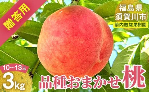 【先行予約】桃 ＜箭内厳雄果樹園＞ もも 3kg　10～13玉 品種おまかせ 贈答用 F7X-0226