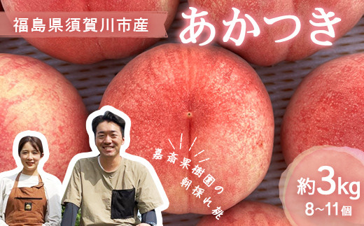 <先行受付> 嘉斎果樹園の桃「あかつき」約3kg(8~11個) もも モモ 桃 デザート フルーツ 果物 くだもの 果実 食品 F7X-0139