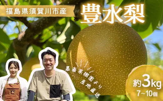 ＜先行受付＞ 嘉斎果樹園の梨「豊水」約3kg（7～10個） なし ナシ 梨 デザート フルーツ 果物 くだもの 果実 食品 F7X-0528