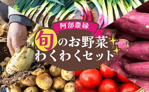 阿部農縁 旬のお野菜わくわくセット(約7~8種類&加工品) F7X-0029