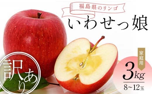 ＜訳あり家庭用りんご＞福島県のリンゴ　いわせっ娘 約3kg(8～12玉) F7X-0010