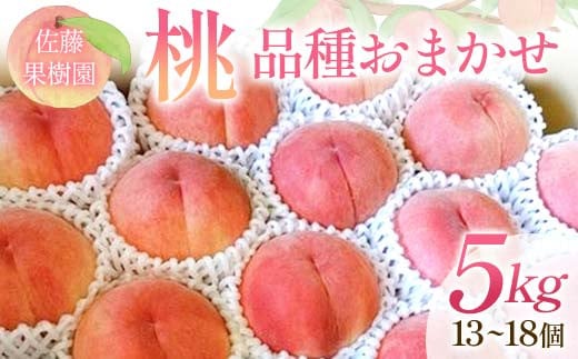 【先行予約】桃 品種おまかせ 5kg 13～18個 もも 贈答 プレゼント ＜佐藤果樹園＞ モモ 桃 デザート フルーツ 果物 F7X-0282