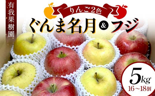 りんご 2色 リンゴ ぐんま名月 フジ 5kg 16～18個 御歳暮 ＜有我果樹園＞ りんご リンゴ 林檎 デザート フルーツ 果物 くだもの F7X-0285