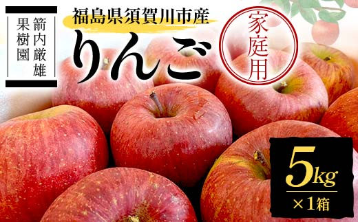 須賀川市産 リンゴ 家庭用 5kg ＜箭内厳雄果樹園＞ りんご リンゴ 林檎 デザート フルーツ 果物 くだもの F7X-0287