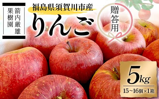 須賀川市産 リンゴ 贈答用 5kg（15～16個）＜箭内厳雄果樹園＞ りんご リンゴ 林檎 デザート フルーツ 果物 くだもの F7X-0289