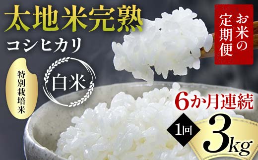 お米の定期便 特別栽培米 太地米完熟 【こしひかり】 白米3kg×6か月連続 ブランド米 お米 精米 白米 人気 F7X-0373