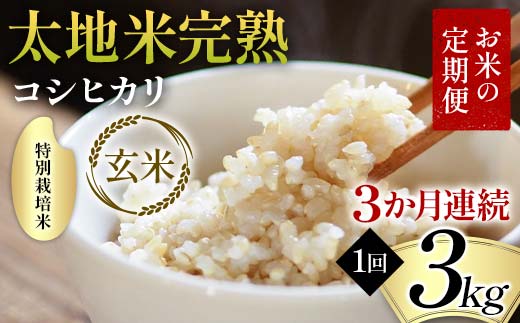 お米の定期便 特別栽培米 太地米完熟 【こしひかり】 玄米3kg×3か月連続 ブランド米 お米 人気 F7X-0376
