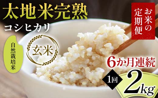 お米の定期便 自然栽培米 太地米完熟 【こしひかり】 玄米2kg×6か月連続 ブランド米 お米 人気 F7X-0433