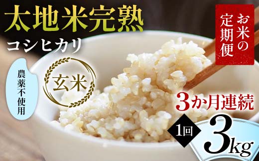 お米の定期便 農薬不使用米 太地米完熟 【こしひかり】 玄米3kg×3か月連続 ブランド米 お米 人気 F7X-0408