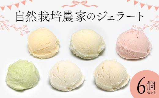 自然栽培農家のジェラート 6個セット ジェラート デザート スイーツ 菓子 食品 F7X-0362