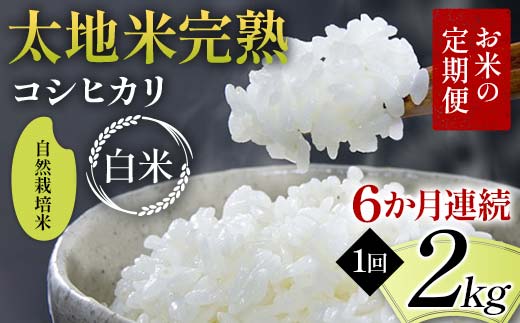 お米の定期便 自然栽培米 太地米完熟 【こしひかり】 白米2kg×6か月連続 ブランド米 お米 精米 白米 人気 F7X-0429