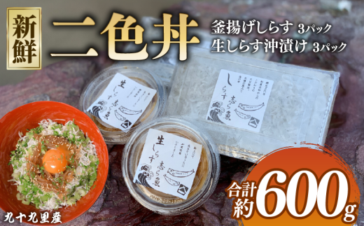 二色丼 生 シラウオ 沖漬け 釜揚げ しらす セット 各3パック 合計600g しらす シラス しらす丼 シラス丼 白魚 シラウオ 沖漬け 小魚 海鮮 釜揚げ 釜茹で 天日干し 小分け 手釜製法 ご飯のお供 無添加 魚介 3パック 贈答 ギフト 送料無料 ふるさと納税 飯岡ヤマイチ水産-大納屋- メディア 千葉県 旭市 iys004