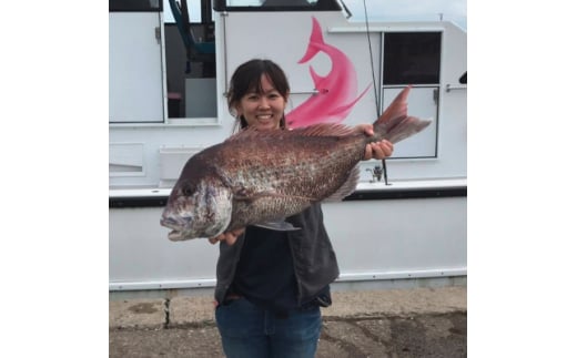 【先行予約】 釣り船 真鯛 乗船券 午前 手ぶらOK 千葉県飯岡港 フィッシング 釣り 釣り体験 鯛 魚 魚釣り リール 竿 船 漁船 大型船 舟 大漁旗 飯岡港 外房 九十九里 九十九里浜 千葉 海 海釣り 沖釣り 新鮮魚 魚介 初心者 歓迎 午前マダイ船乗船券 体験 有限会社幸丸 千葉県 旭市 scm001_X1