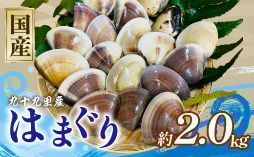 はまぐり 合計 約 2kg 60-90g (約500g×4パック) 千葉県産 液体冷凍 九十九里 貝 魚貝 海鮮 砂抜き 国産 蛤 ハマグリ 冷凍 冷凍配送 長期保存 味噌汁 お吸い物 酒蒸し グラタン だし 出汁 網焼き クラムチャウダー 炊き込みご飯 バーベキュー BBQ 千葉県 旭市 治吉水産 hys017