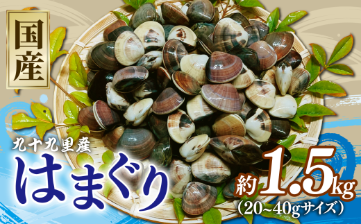はまぐり 約1.5kg ( 約500g 【20~40gサイズ】× 3パック ) 千葉県産  液体冷凍 九十九里 貝 海鮮 砂抜き 国産 蛤 ハマグリ 冷凍 冷凍配送 長期保存 味噌汁 お吸い物  酒蒸し グラタン だし 出汁 網焼き クラムチャウダー 炊き込みご飯 バーベキュー 千葉県 旭市 治吉水産 hys001