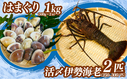[9月以降順次発送] 伊勢海老 活〆冷凍伊勢海老 250~300g 2匹 ・冷凍はまぐり 500g × 2p セット お刺身 海老 エビ 刺し身 エビマヨ 味噌汁 天ぷら 天丼 鬼瓦焼き グラタン はまぐり 蛤 味噌汁 酒蒸し だし 出汁 クラムチャウダー 炊き込みご飯 千葉県 旭市 治吉水産