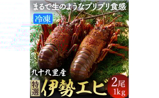 伊勢海老 リキッド凍結伊勢海老 刺身用 2尾 約1kg 九十九里 新鮮 刺し身 刺身 さしみ 真空 冷凍  旨味 甘み 鮮度 美味しい 贅沢 ご褒美 豪華 ギフト プレゼント 贈答  贈答用 記念日 家族 友人 パーティー 食事会 お祝い 祝い 送料無料 ふるさと納税 不動丸 千葉県 旭市 fdm024
