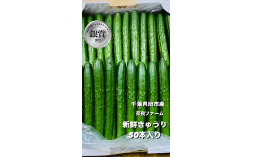 【2026年度発送 先行予約】 ＜産直＞きゅうり50本 きゅうり 胡瓜 野菜 夏野菜 サラダ 冷麺 漬物 漬け物 ぬか漬け 酢の物 1本漬け 浅漬け 冷やしきゅうり キムチ きゅうりちくわ ちくわきゅうり 産地直送 新鮮  千葉県 旭市 奈良ファーム nrf001