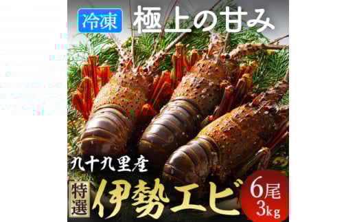 伊勢海老 活け〆リキッド冷凍伊勢海老 刺身用 6尾 約3kg 九十九里 新鮮 刺し身 刺身 さしみ 真空 冷凍  旨味 甘み 鮮度 美味しい 贅沢 ご褒美 豪華 ギフト プレゼント 贈答  贈答用 記念日 家族 友人 パーティー 食事会 お祝い 祝い 人気 おすすめ 送料無料 ふるさと納税 不動丸 千葉県 旭市 fdm027X1