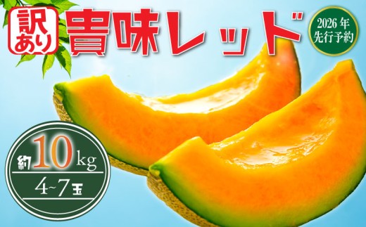 【 2026 年発送】< 訳あり メロン > 先行予約 貴味 赤肉 レッド 約10kg 以上 (2～6L) (約4～7玉) めろん melon タカミ ジューシ 糖度 おすすめ 高級 人気 旬 果物 くだもの フルーツ 贈り物 ギフト 贈答 プレゼント 産地直送 千葉県 旭市 たかの果樹園 tke005