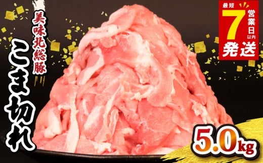 豚肉 こま切れ 5kg ＜ 最短7営業日以内発送 ＞ 豚こま 小分け 真空パック 500g 国産 千葉県産 銘柄 美味北総豚 豚 豚こま肉 豚コマ肉 こま肉 切り落とし カレー 鍋 野菜 炒め 炒め物 煮物 家庭用 送料無料 産地直送 便利 人気 おすすめ 新鮮 時短 冷凍 千葉県 旭市 旭食肉協同組合 ask013