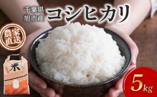 【 訳あり 】 【 先行予約 】 米 5kg コシヒカリ 令和7年度 新米 こめ おこめ ごはん 白米 お米 精米 産地直送 農家直送 朝食 おにぎり こしひかり 千葉米 国産 食品 備蓄 防災 お取り寄せ ふるさと納税 ふるさと納税米 送料無料 千葉県 旭市 まる吉園 mkn001_X1