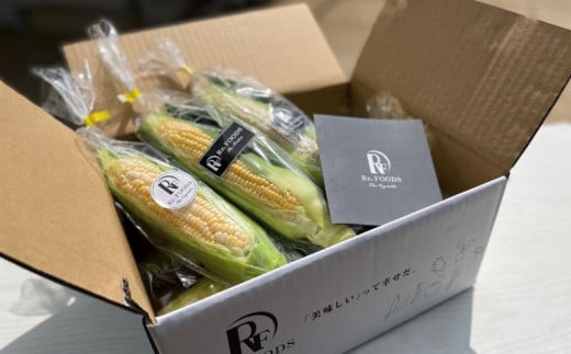 とうもろこし 白 & 黄色 8本 食べ比べ ホワイトコーン ホワイト コーン スイートコーン 2025年6月下旬発送開始 新鮮 旬 野菜 やさい 夏野菜 朝採り とうきび BBQ バーベキュー 数量限定 季節限定 送料無料 産地直送 冷蔵 千葉県 旭市 Re.FOODS The Morokoshi 株式会社はなわ農園