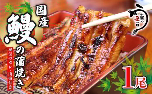 ＼最短7営業日以内発送/ 国産鰻 の 蒲焼き 国産うなぎ 1尾 山椒 タレ つき 半身 カット 国産 うなぎ ウナギ 鰻 炭火焼 炭火 うなぎ蒲焼き うな重 ひつまぶし 蒲焼 人気 おすすめ 丑の日 贈り物 贈答 ギフト プレゼント 送料無料 千葉県 旭市 川千家