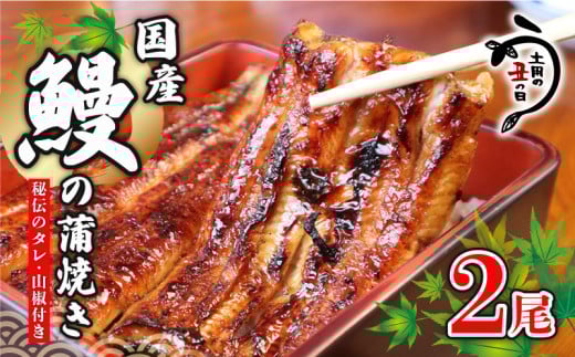 ＼最短7営業日以内発送／ 国産鰻 の 蒲焼き 国産うなぎ 2尾 山椒 タレ つき 半身 カット 国産 うなぎ ウナギ 鰻 炭火焼 炭火 うなぎ蒲焼き うな重 ひつまぶし 蒲焼 人気 おすすめ 丑の日 贈り物 贈答 ギフト プレゼント 送料無料 千葉県 旭市 川千家 kty002