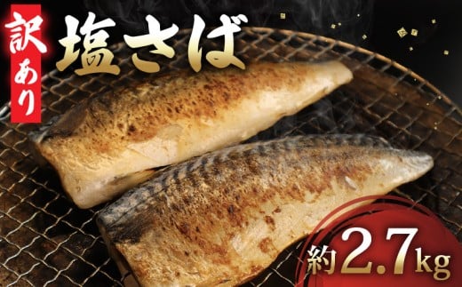 ＼最短7営業日以内発送／ 訳あり 塩さば フィーレ 約2.7kg 20尾以上 塩サバ 塩鯖 鯖 さば サバ スピード発送 冷凍 簡単調理 手軽 料理 和食 おかず 惣菜 お弁当 夕食 食卓 家庭用 魚 海鮮 水産 水産加工品 送料無料 千葉県 旭市 有限会社井上商店 ius001