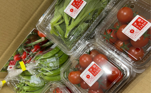 [ 先行予約 ] 伊藤SUN FARM 野菜セット ミニトマト 6パック スナップエンドウ 400g アイスプラント 240g 期間限定 数量限定 サラダ 野菜 やさい 送料無料 千葉県 旭市 伊藤SUN FARM