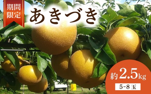[ 数量限定 ] 梨 あきづき 約 2.5kg 5玉〜8玉 なし 旬 和梨 千葉県産 国産 2025年 9月〜発送 果物 フルーツ くだもの 果汁 甘み 甘い 糖度 酸味 旬の梨 秋 季節の果物 デザート 産地直送 新鮮 鮮度 厳選 ふるさと納税 産地 送料無料 千葉県 千葉 旭市 旭市産 齋藤園