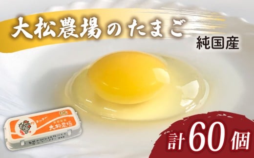 卵 純国産 大松農場の卵 計 60個 養鶏 平飼 鶏卵 卵 たまご 鶏卵 にわとり 新鮮 こだわり 朝食 昼食 夕食 目玉焼き 卵焼き 玉子焼き たまご焼き 卵かけご飯 たまごかけご飯 オムレツ ゆで卵 卵料理 生卵 国産 産地直送 安心 安全 破損保証 割れ保証 送料無料 千葉県 旭市 大松農場 omf003