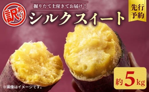 【先行予約】 訳あり シルクスイート 約 5kg さつまいも 2025年 11月以降順次発送予定 土付き さつま芋 さつまイモ 野菜  産地直送 国産 千葉県産 旬 秋 いも サツマイモ 焼きいも 焼き芋 スイートポテト スイーツ 料理 お菓子 新鮮 おすすめ ふるさと納税 千葉県 旭市 向後メロン園 kug005