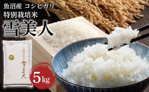 [ 先行予約 ] 米 5kg 令和7年産 新米 魚沼産 コシヒカリ 雪美人 特別栽培米 | 白米 精米 こしひかり こめ コメ お米 おこめ おすすめ 人気 ギフト プレゼント 新潟県 津南町