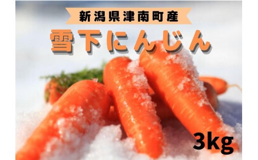 【令和8年産 先行予約】【季節限定】雪国ならではの逸品!雪下にんじん 3kg | 人参 にんじん ニンジン キャロット雪下人参 野菜 人気 おすすめ お取り寄せ 取り寄せ 新潟県 津南町