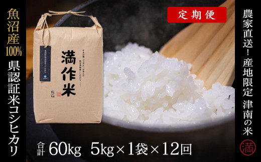 【 定期便 12ヶ月 】 米 5kg × 12回 令和7年産 新米 魚沼産 コシヒカリ 特別栽培米 県認証 | BLコシヒカリ こしひかり お米 おこめ コメ おすすめ 人気白米 精米 新潟県 津南町