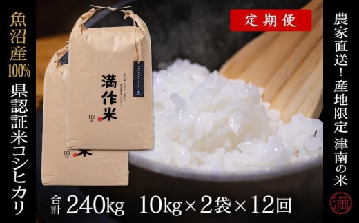 [2025年産新米][12ヶ月定期便]特栽魚沼産コシヒカリ 20kg(10kg×2袋)