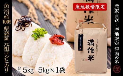 米 5kg 令和7年産 新米 魚沼産 コシヒカリ 県認証米 満作米 | ブランド米 こしひかり お米 おこめ こめ コメ 白米 精米 小分け おすすめ 人気 ギフト プレゼント 新潟県 津南町