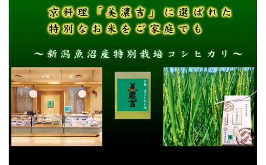 米 2kg 令和6年産 魚沼産 コシヒカリ 特別栽培米 | こしひかり お米 おこめ こめ コメ ご飯 ごはん 白米 精米 ブランド米 おすすめ 人気 ギフト プレゼント 新潟県 津南町