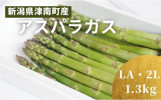 【令和8年産先行予約】新鮮 朝取り アスパラガス 津南産 1.3kg ( LA ・ 2L サイズ ) ※サイズおまかせ | グリーン アスパラ あすぱら 野菜 やさい 食品 サラダ 天ぷら バーベキュー 新潟県 津南町
